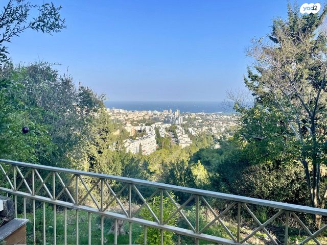 דירת גן, מיכאל קשטן, סביוני הכרמל, חיפה