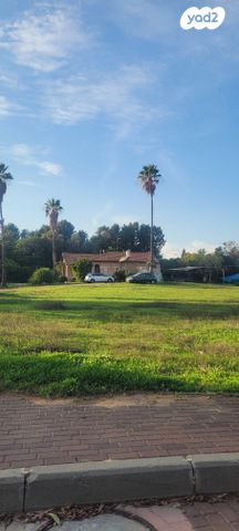 משק חקלאי/ נחלה, השדרה, צופית