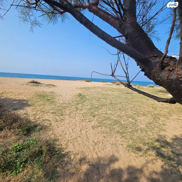 דו משפחתי, שבי ציון