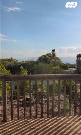 משק חקלאי/ נחלה, אלמגור