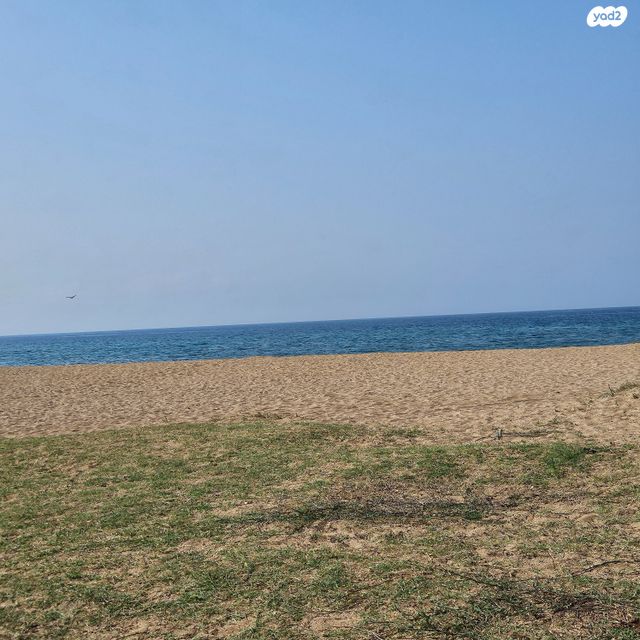 דו משפחתי, שבי ציון