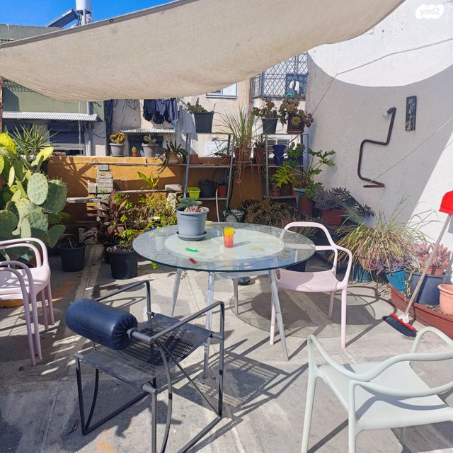 גג/ פנטהאוז, אנדריוס, מכללת תל אביב יפו, דקר, תל אביב יפו