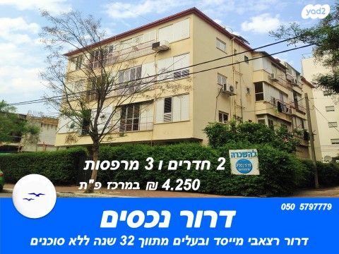 דוד וולפסון 