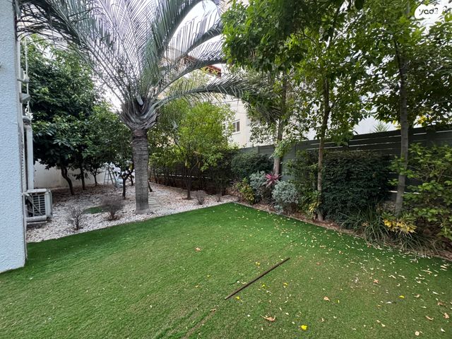 לוין שמעון זאב 