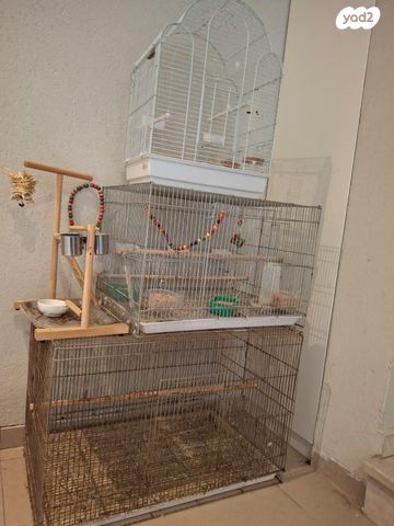 תמונת מודעה - חיות מחמד