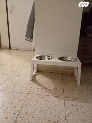 תמונת מודעה - חיות מחמד