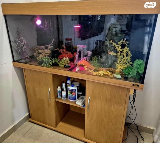 תמונת מודעה - חיות מחמד