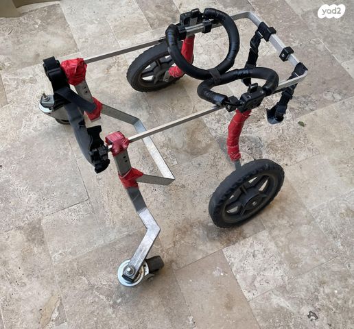 תמונת מודעה - חיות מחמד