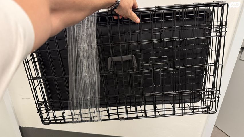 תמונת מודעה - חיות מחמד