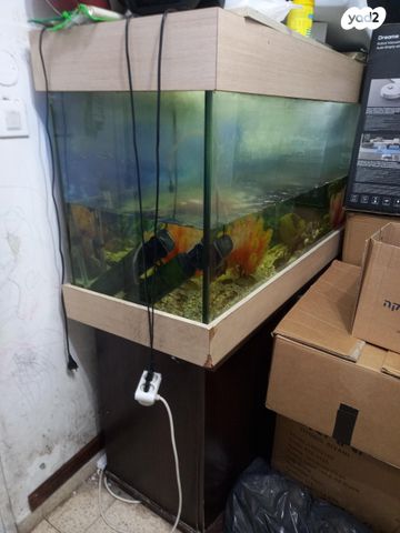 תמונת מודעה - חיות מחמד