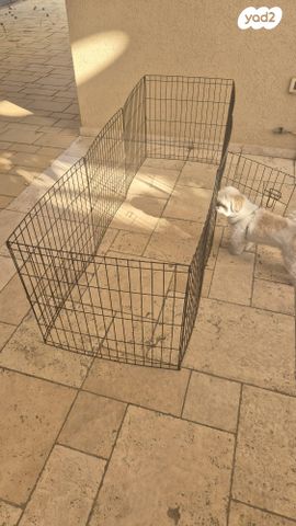 תמונת מודעה - חיות מחמד