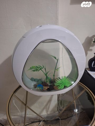 תמונת מודעה - חיות מחמד