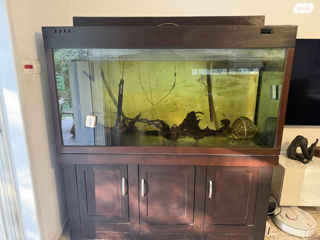 תמונת מודעה - חיות מחמד