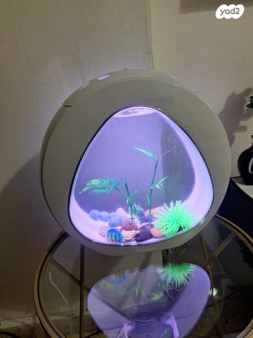 אביזרים | אקווריום