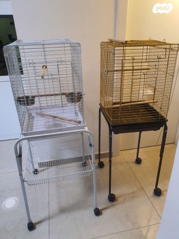 תמונת מודעה - חיות מחמד