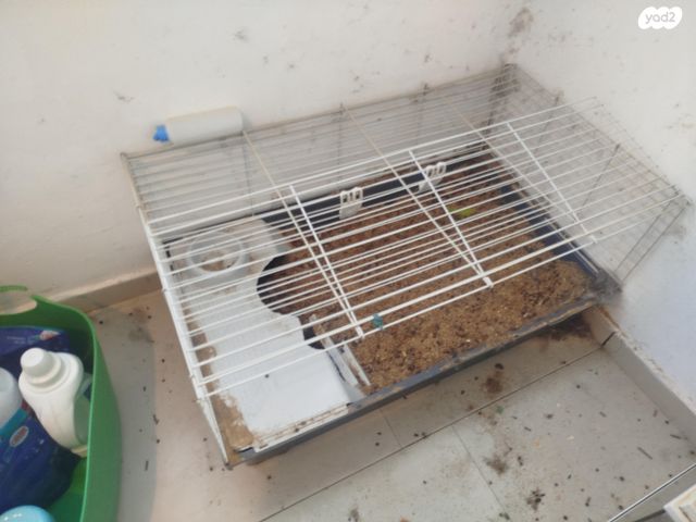 תמונת מודעה - חיות מחמד