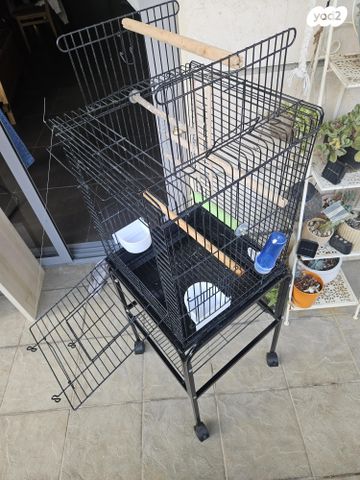 תמונת מודעה - חיות מחמד