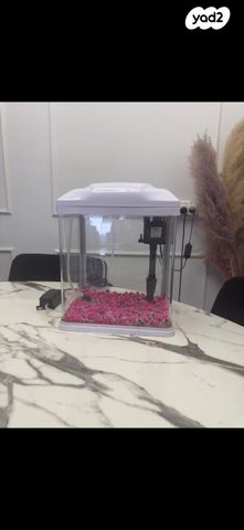 תמונת מודעה - חיות מחמד