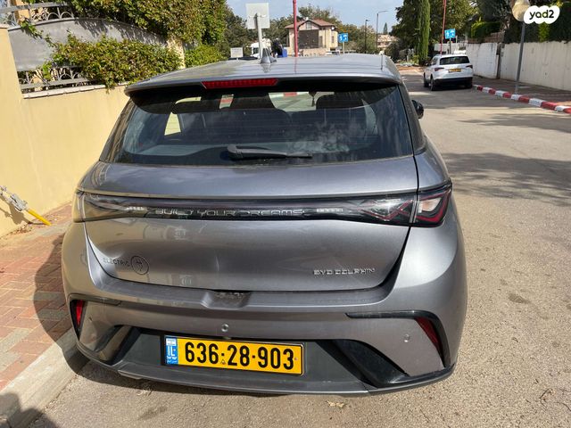 בי.ווי.די דולפין