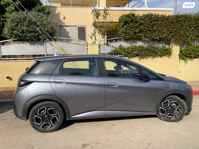 בי.ווי.די דולפין