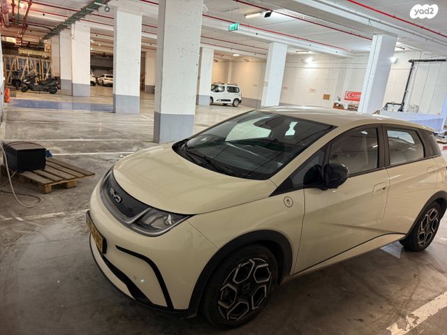 בי.ווי.די דולפין