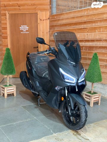 סאן יאנג ג'וי-מקס Z-300