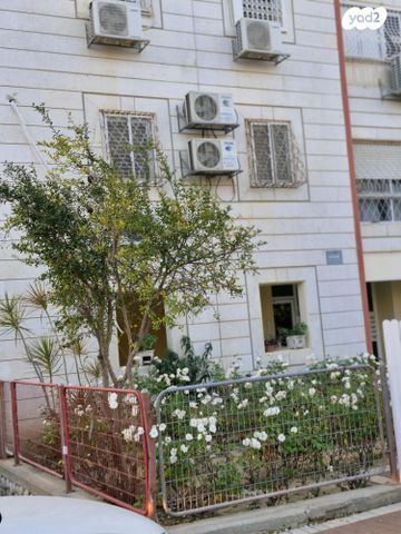 מבצע ברוש 13