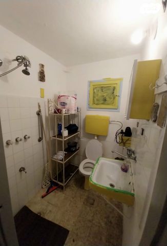 דירה, לוחמי הגטאות 48, דרום, צפת