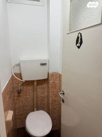 שמואל שרירא 1