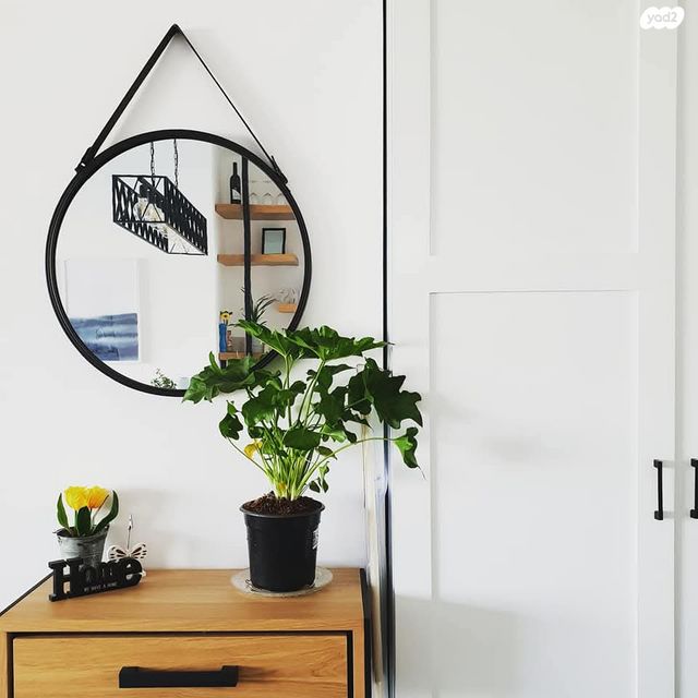 דירה, ירושלים 8, שאר העיר, גבעת שמואל