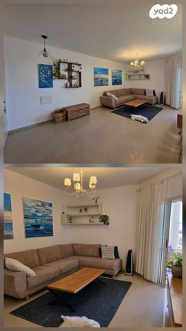 ישראל גלילי 31