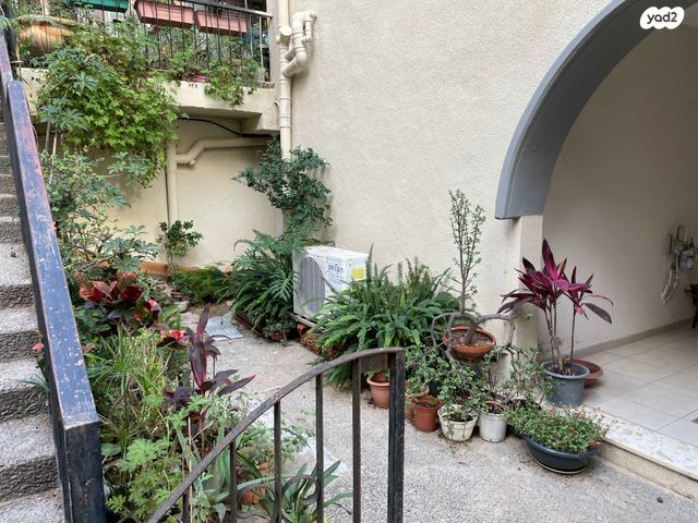 בית פרטי/ קוטג', הרופא זלוצ'יסטי 38, אחוזה, חיפה