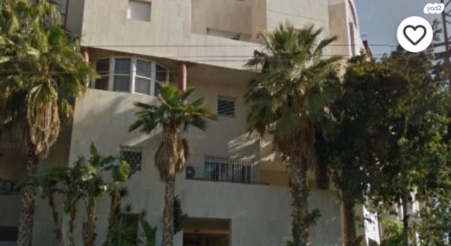 מיכל לייב כץ 19