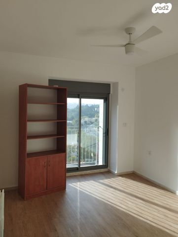 דוד שמעוני 3