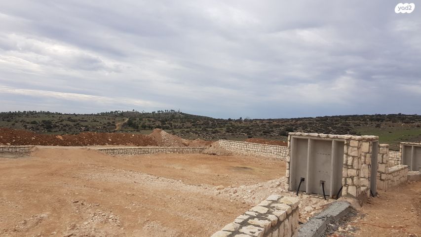 שדרות נווה דקלים 1