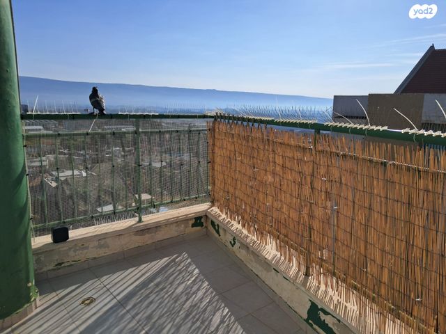 דירה, הורדים 11, שכונת הורדים, קרית שמונה