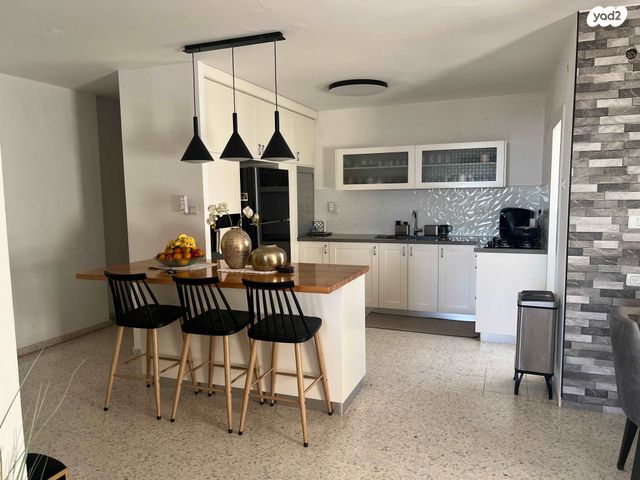 אריה בן אליעזר 13