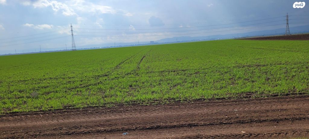 מגרשים, שדרות מנחם בגין 1, דרום עפולה, עפולה