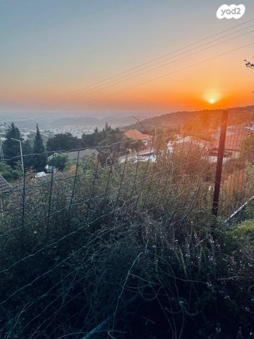 דו משפחתי, הזית 44, קציר, קציר