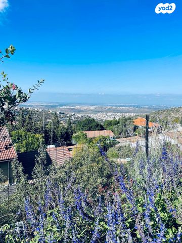 דו משפחתי, הזית 44, קציר, קציר