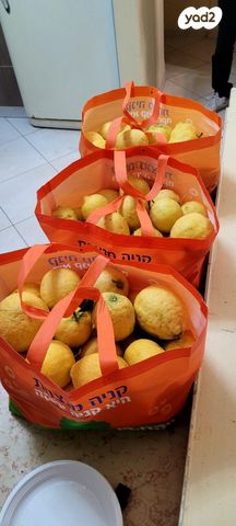 דירת גן, הס 8, הדר עליון, חיפה