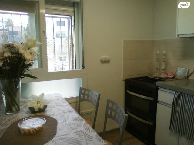 נלסון גליק 11