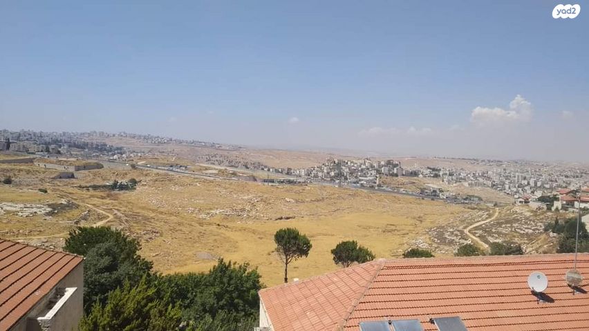 משה גבירצמן 17