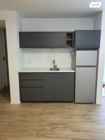 נווה דקלים 1