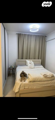 מרתף/ פרטר, ברוך בנאסרף 29, קרית חתני פרס נובל, ראשון לציון