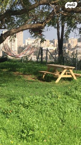 דירה, משה גוט לוין 20, רמת ספיר, חיפה