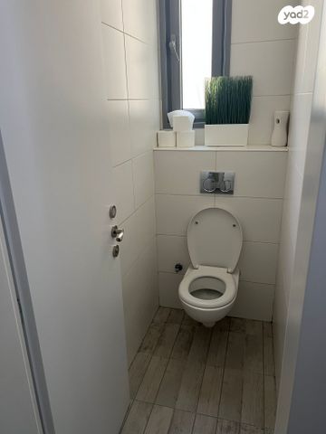 אבנר חי שאקי 41