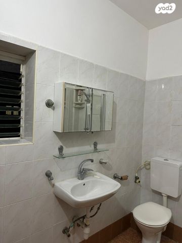 שמחה הולצברג 4