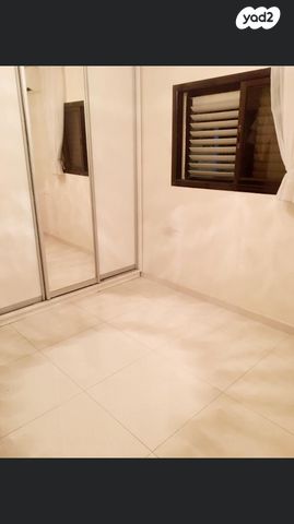 דוד אלעזר 13