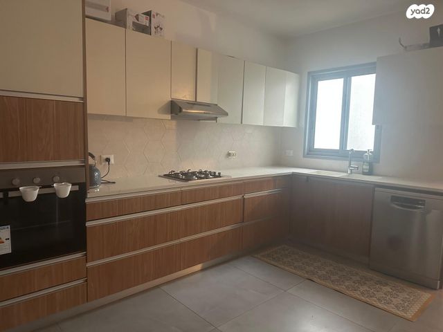 יצחק שמיר 11